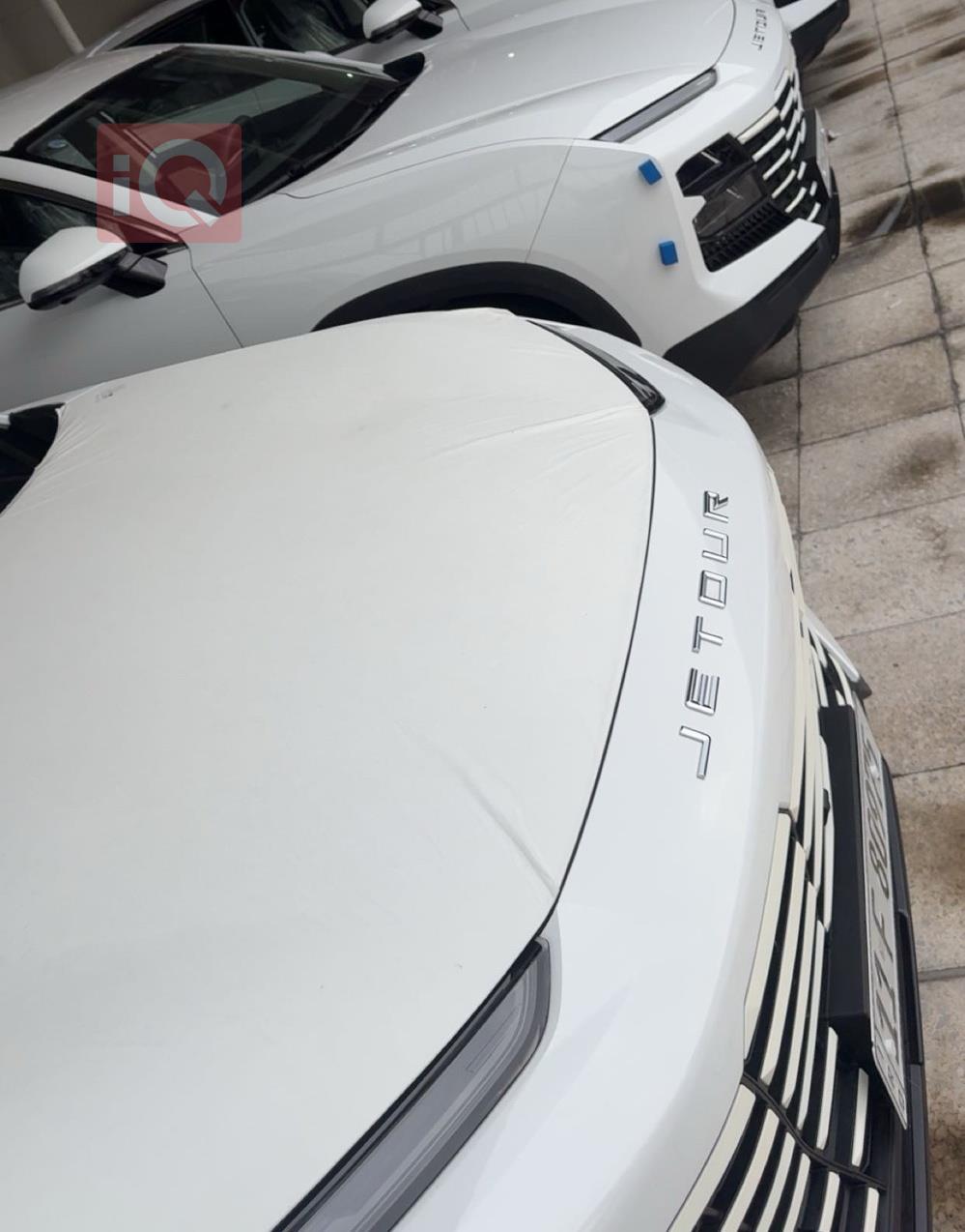 جيتور داشينج